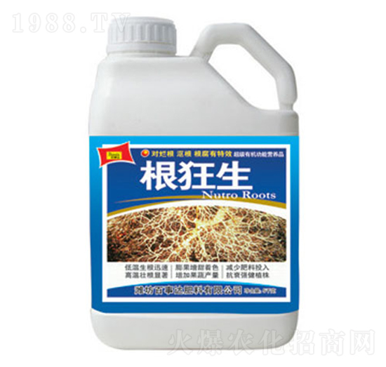 ������-�����_