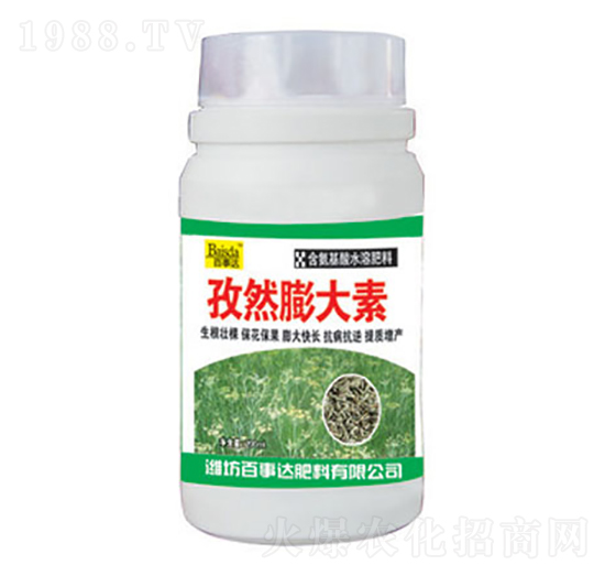 ��Ȼ�����-�����_(d��)