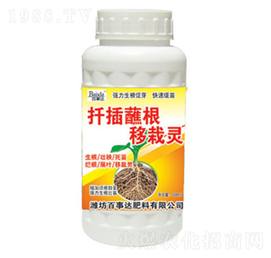 Ǥ�������`-�����_