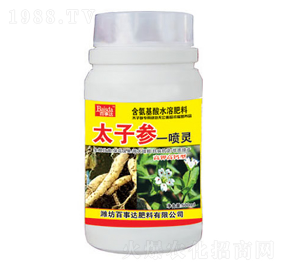 ̫�Ӆ�һ���`-�����_