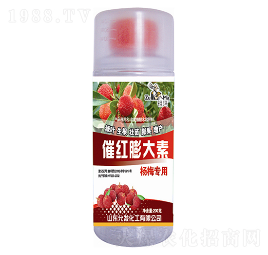 �߼t�����-�欔-�ʰl(f��)����