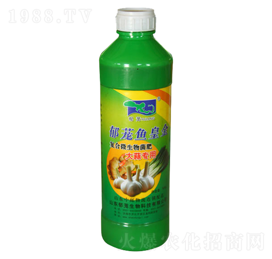 ���⌣��-���d�~�ʽ�-���d����