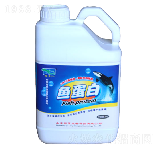 �~���ס������������-���d����