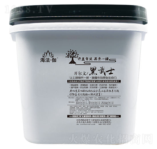 �_���ĺ���ʿ-������٤