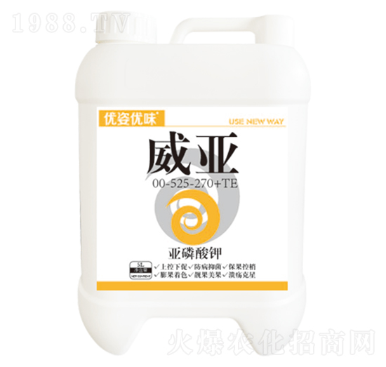 5L�������00-525-270+TE-����-��(y��u)�˃�(y��u)ζ