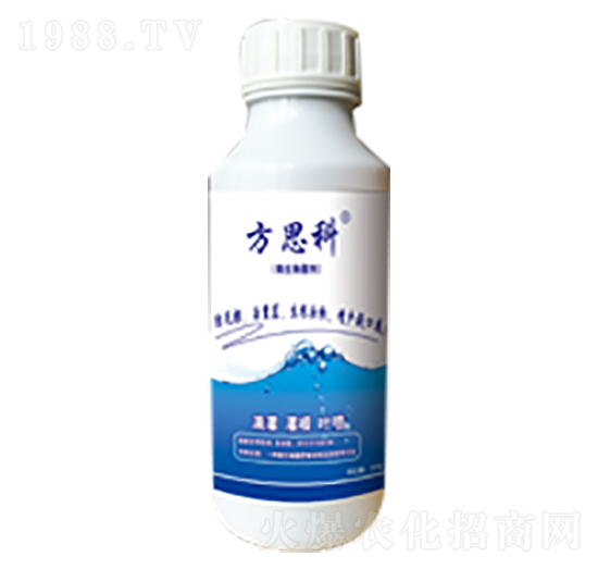 500g��˼��-�޶�