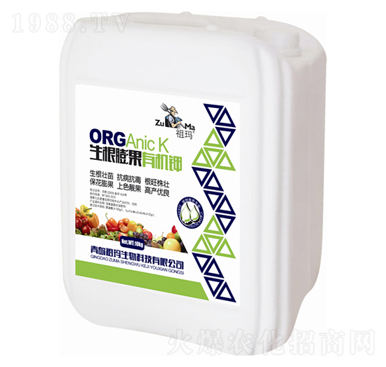 �������-�欔-�ʰl(f��)����