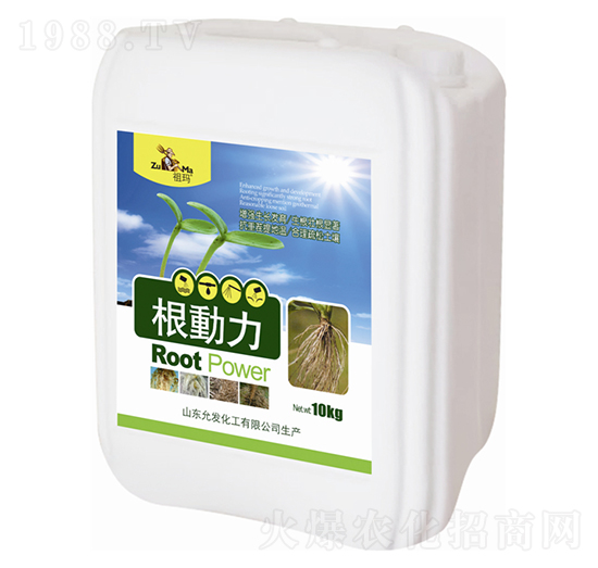 ������-�欔-�ʰl(f��)����