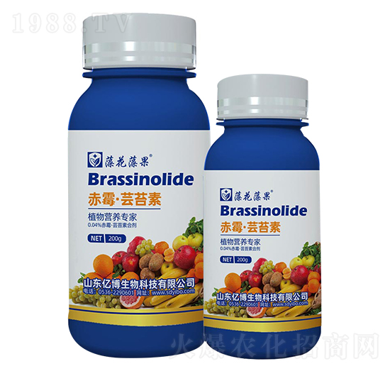 ��ù���|̦��-�|������