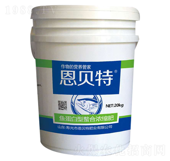 �~���������ϝ�s��-��ؐ��