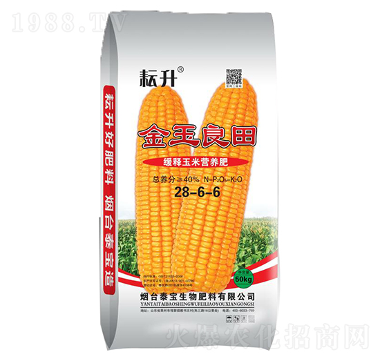 ������נI(y��ng)�B(y��ng)��28-6-6-��������-̩������