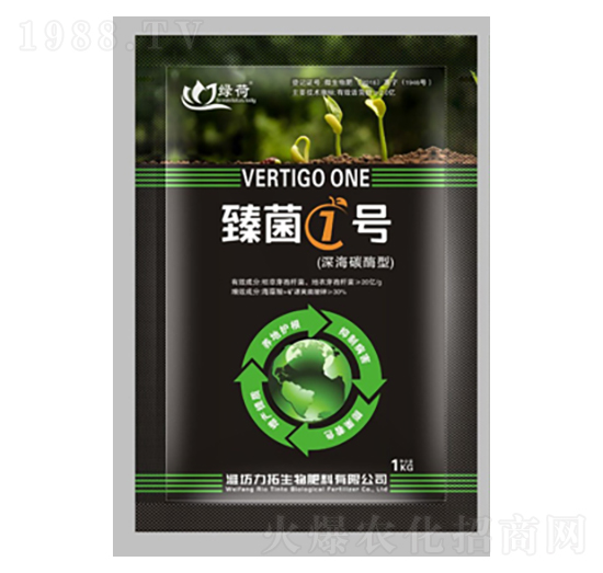 ���1̖-��������