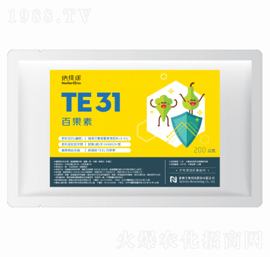 TE31�ٹ���-�·�����