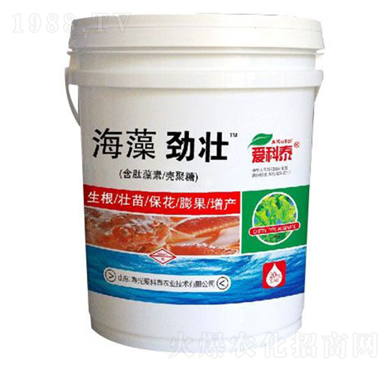 ����ŉ�-��(��i)��̩