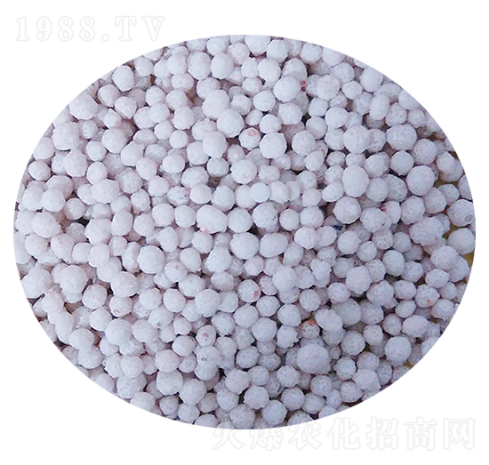 �w����(f��)�Ϸ���-���S