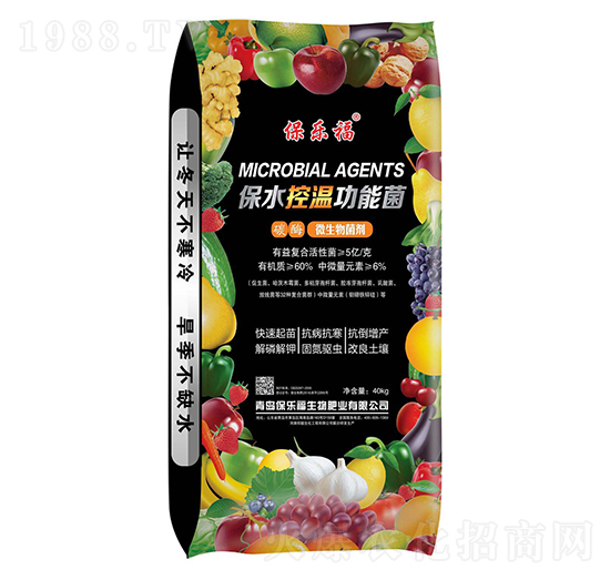 ̼ø΢�������-������