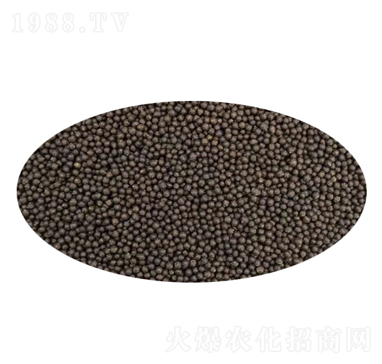 ���{����-������