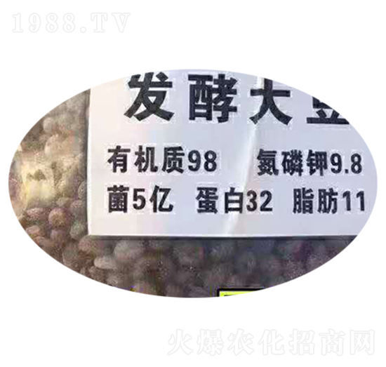 �l(f��)�ʹ�-������