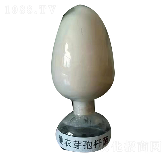 ����ѿ�ߗU��-������