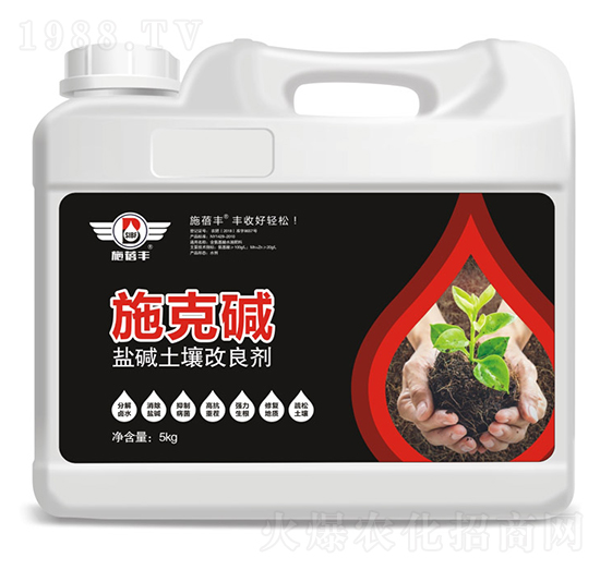 ʩ�ˉA�}�A����������-ʩ���S