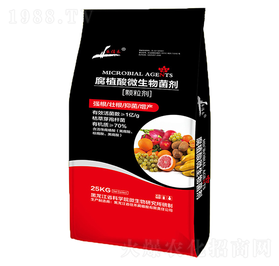 ��ֲ��΢�������-�Ѻ�