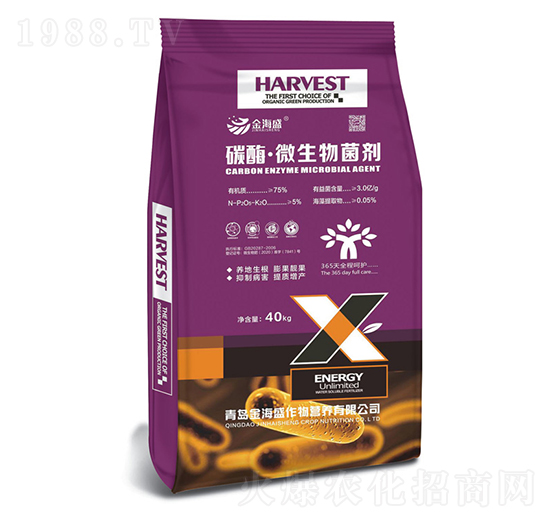 ̼ø��΢�������-ʩؐ��-��ʢ