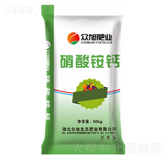 �����@�}-����ʘI(y��)