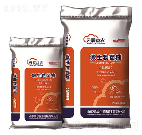 ΢�������������ø��-�s�A����