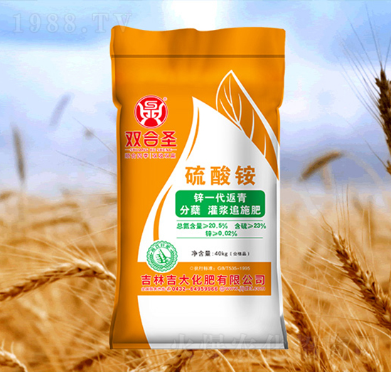 �p��ʥ�����@-����