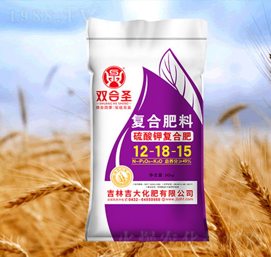 ����⛏ͺϷ�12-18-15-�p��ʥ-����