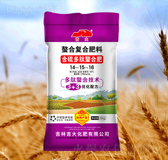 ����������Ϸ�14-15-16-����