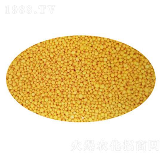 ��(sh��)֬���������w��-ʢ���Ƴ�