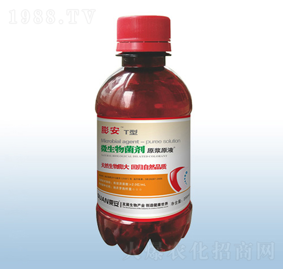 ΢�������-��T��-�ڰ�