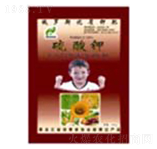 50%�����-ʿ�ֿƼ�