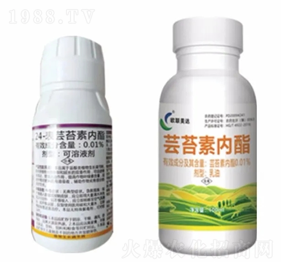 �|̦�؃�֬-�W���_