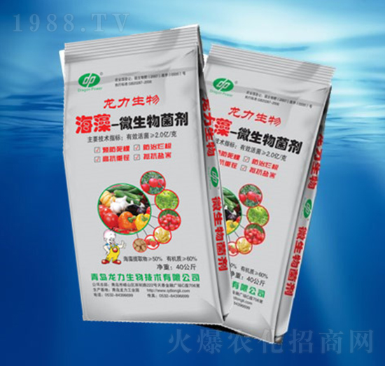 ����΢�������-��������