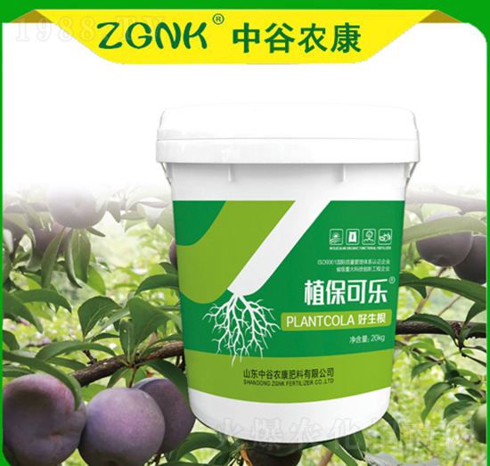 ������-ֲ���ɘ�-�й��r(n��ng)��