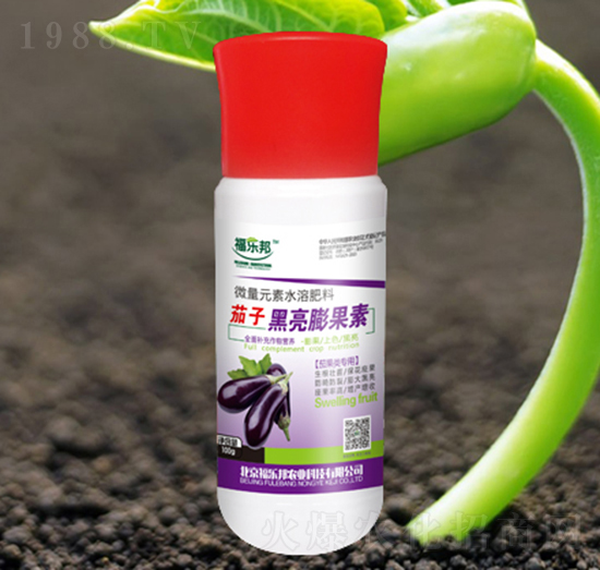 ���Ӻ��������-����(l��)��