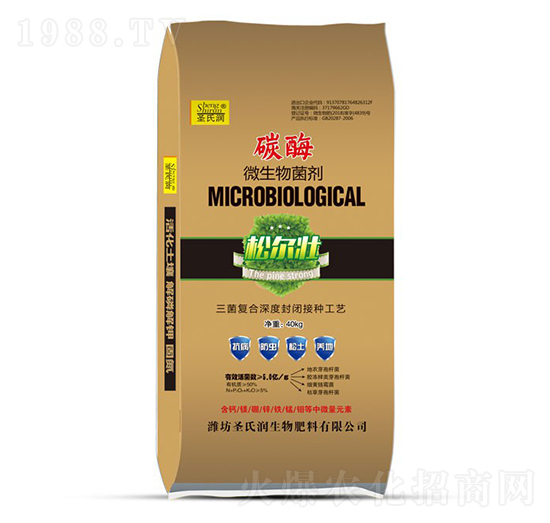 ̼ø΢�������-ʥ�ϝ�(r��n)