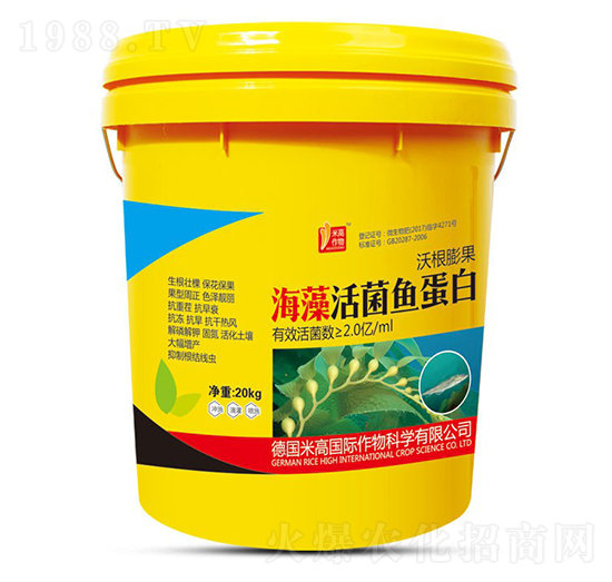 �������~(y��)����-ʥ�ϝ�(r��n)