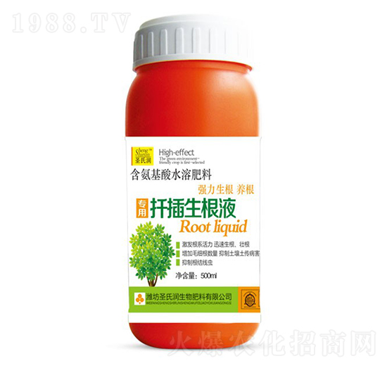 Ǥ������Һ-ʥ�ϝ�