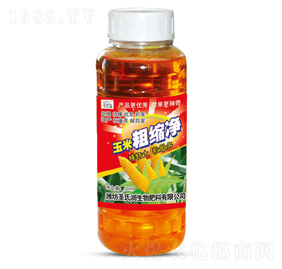 ���״ֿs��-ʥ�ϝ�(r��n)