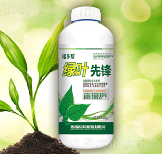 綠葉先鋒-福樂邦