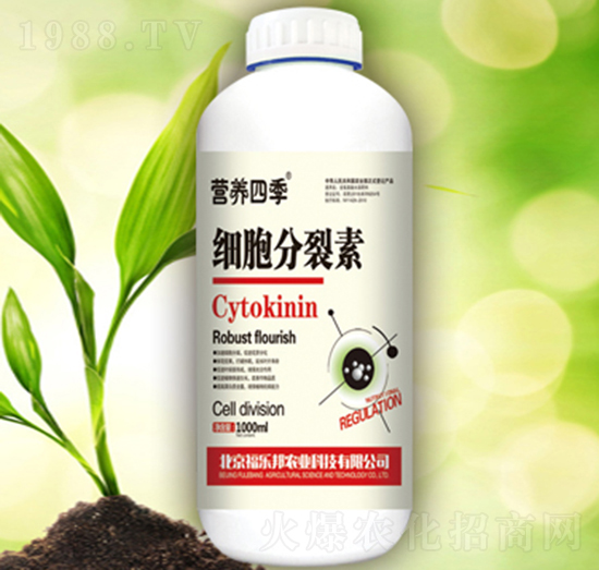 ��(x��)��������-������