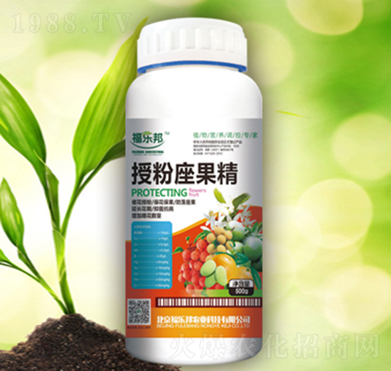 �ڷ�������-������