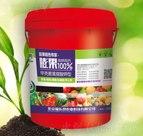 ���100%-������