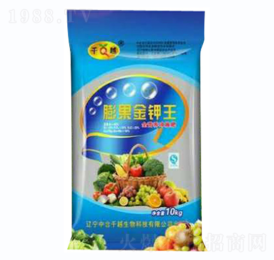 �����������{����-ǧԽ