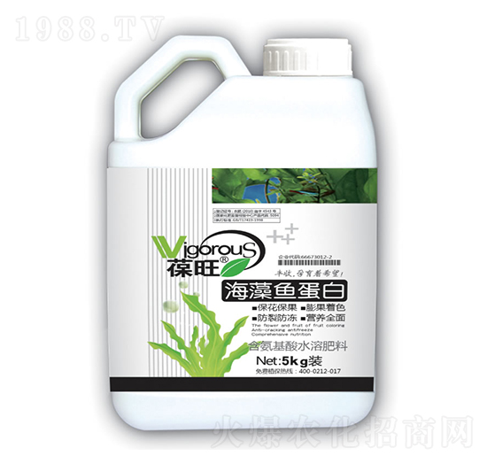 �����~(y��)����-����-����ʘI(y��)