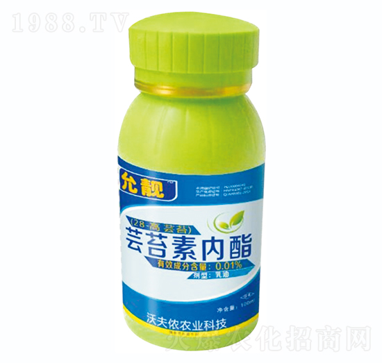 �|̦�؃�(n��i)��-���n-�ַ�z