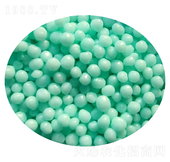 �w���۰�����Ĥ����-�ǝ�(r��n)����